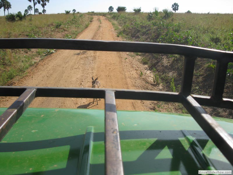Ich und weggehen - da kannst Du lange warten