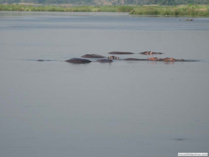 Nihlis gibts im Park en Mass