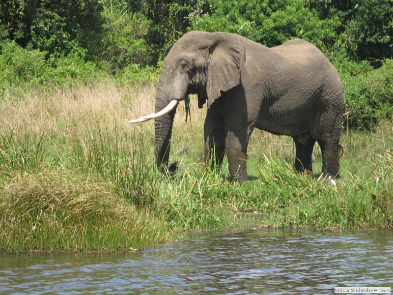 Start der Bootstour am Nachmittag