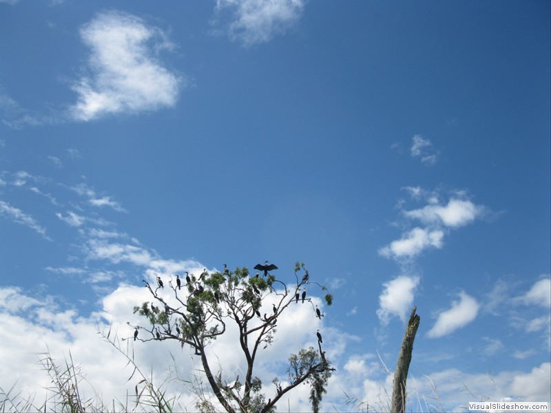 Insel der verstoßenen Frauen
