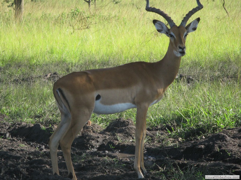 Kurz mal possieren - merci